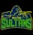 Multan Sultans logo